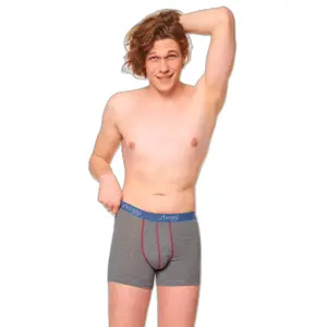 Boxerek image-2