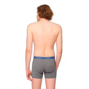 Boxerek image-3