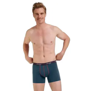 Boxerek image-0