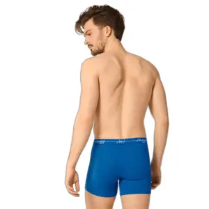 Boxerek image-2