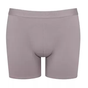 Boxerek image-1