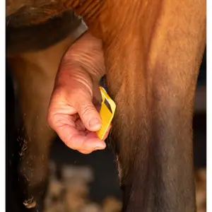 Istálló tárolódoboz Smart Grooming (x50) image-1