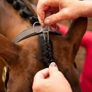 Braiding Accessory for Horse Pre-Plucked Braiding Clip Smart Grooming Sixteen Cypress image-1