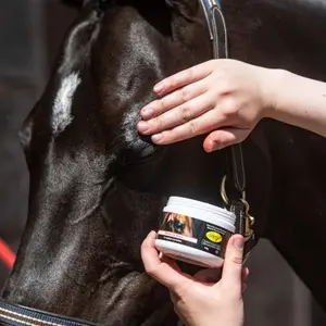 Pans and Horse Care Wax Smart Grooming image-2