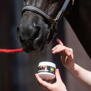 Pans and Horse Care Wax Smart Grooming image-3