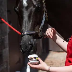 Pans and Horse Care Wax Smart Grooming image-4