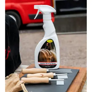 Spray désinfectant pour cheval Smart Grooming image-2