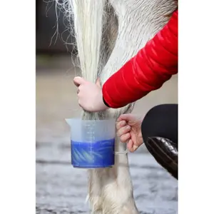 Pansages és fehérítő por ló számára Smart Grooming Super Blue image-2