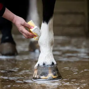 Soin pour koń w proszku Smart Grooming image-1