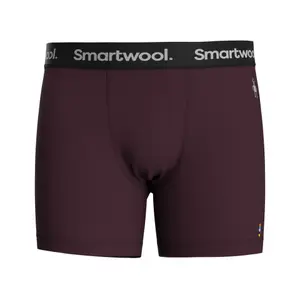 Boxer in merinos Smartwool Everyday image-0