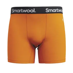 Boxer shorts Smartwool Everyday image-0