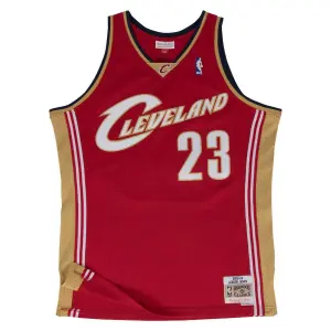 Nba jersey Cleveland Cavaliers Lebron James