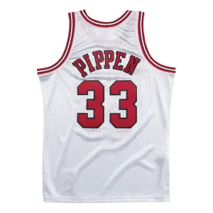 Maglia Chicago Bulls 1997-98 Scottie Pippen Platinum image-1