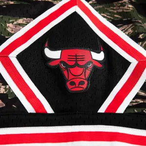 Pantaloni corti Chicago Bulls Tiger Camo image-2