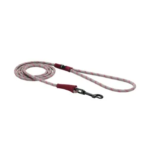 Laisse pour chien Snow Peak SP Medium