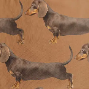 Girl's long sleeve dress Snurk James Gots image-1