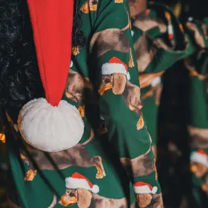 Girl's long sleeve dress Snurk James Xmas Gots image-3