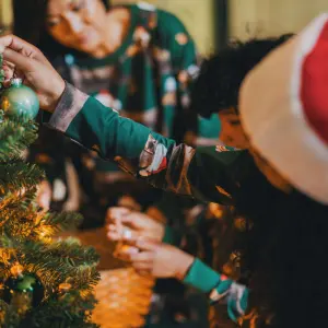 Girl's long sleeve dress Snurk James Xmas Gots image-4