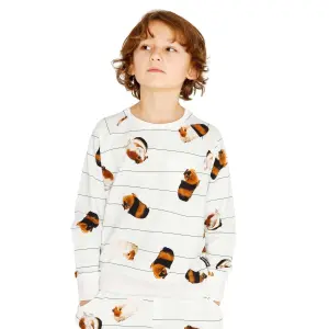 Child's sweater Snurk Cavia Gots image-0