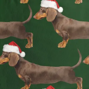 Child's sweater Snurk James Xmas Gots image-1