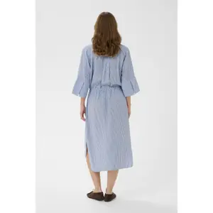 Women's dress Soaked in Luxury Aria image-4