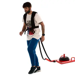 Olympia Disk-Trainer Schlitten Softee image-3