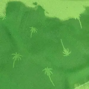 Fürdőnadrág Softee Palm image-1