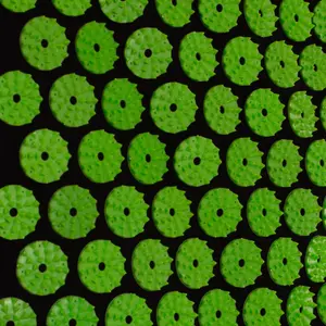 Mata do akupresury Softee (x2) image-1