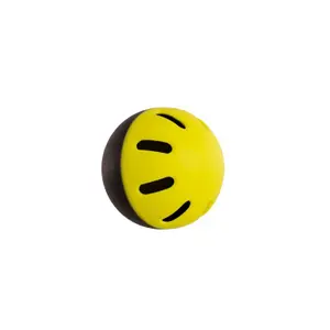 Pickleball Softee image-1