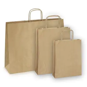 Kraft Paper Tote Bag Softee Maya (x50) image-0