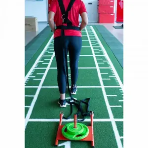Training sled Softee image-2