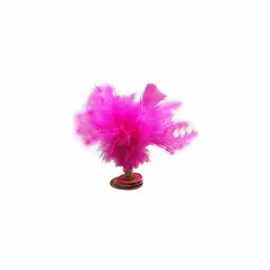 Pack of 10 indiakas soccer fashion pen ruffles Softee