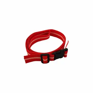 Strap Softee 10 frites image-0