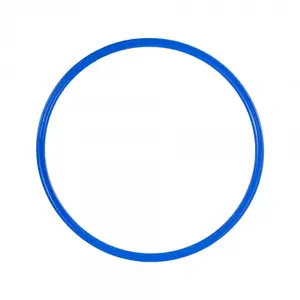 Psychomotricity ring Softee