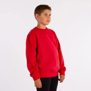 Sweatshirt för barn Softee Owen image-1