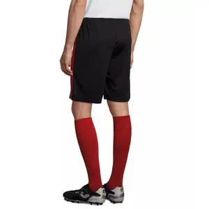 Curta Sol's Olimpico image-2