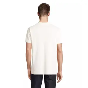 Polo Sol's Planet image-1