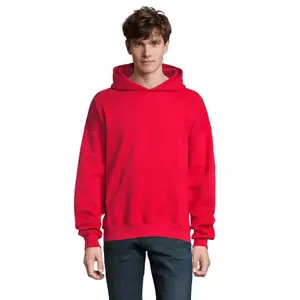 Hooded sweatshirt Sol's Connor image-0