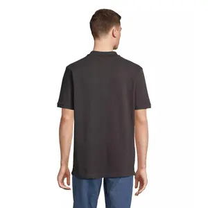 Polo Sol's Pegase image-1