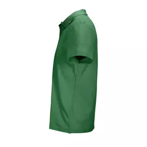 Polo Sol's Pulse image-2