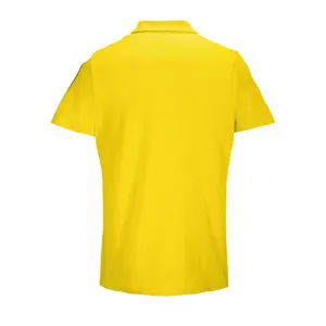 Polo Sol's Pulse image-1