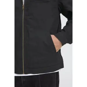 Jas Solid SDDremy image-5