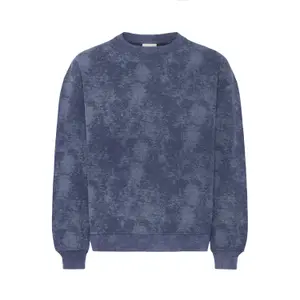 Sweatshirt Solid SDUTKINS image-0