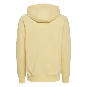 Camisola com capuz Solid Lenz image-1