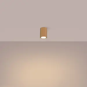 Απλίκα οροφής Sollux Lighting Karbon 10 image-2