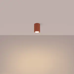 Απλίκα οροφής Sollux Lighting Karbon 10 image-2