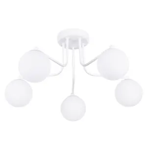 Φανός Sollux Lighting Astral 5 image-0