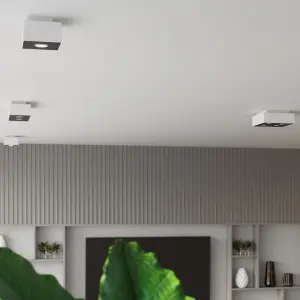 Απλίκα οροφής Sollux Lighting Mono 2 image-4