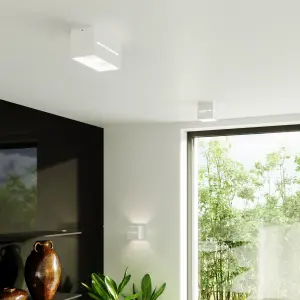 Applique Sollux Lighting Lobo image-1