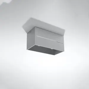 Απλίκα οροφής Sollux Lighting Lobo 2 image-1